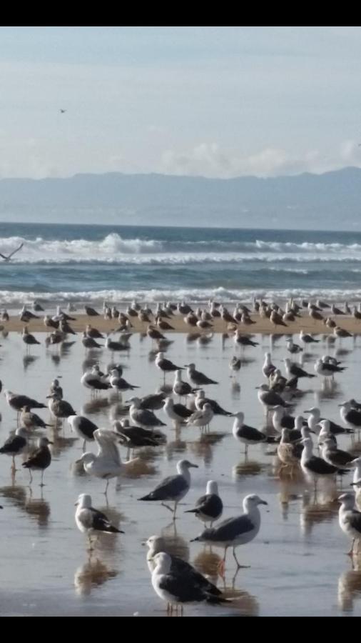 Sunset Beach Costa de Caparica Zewnętrze zdjęcie