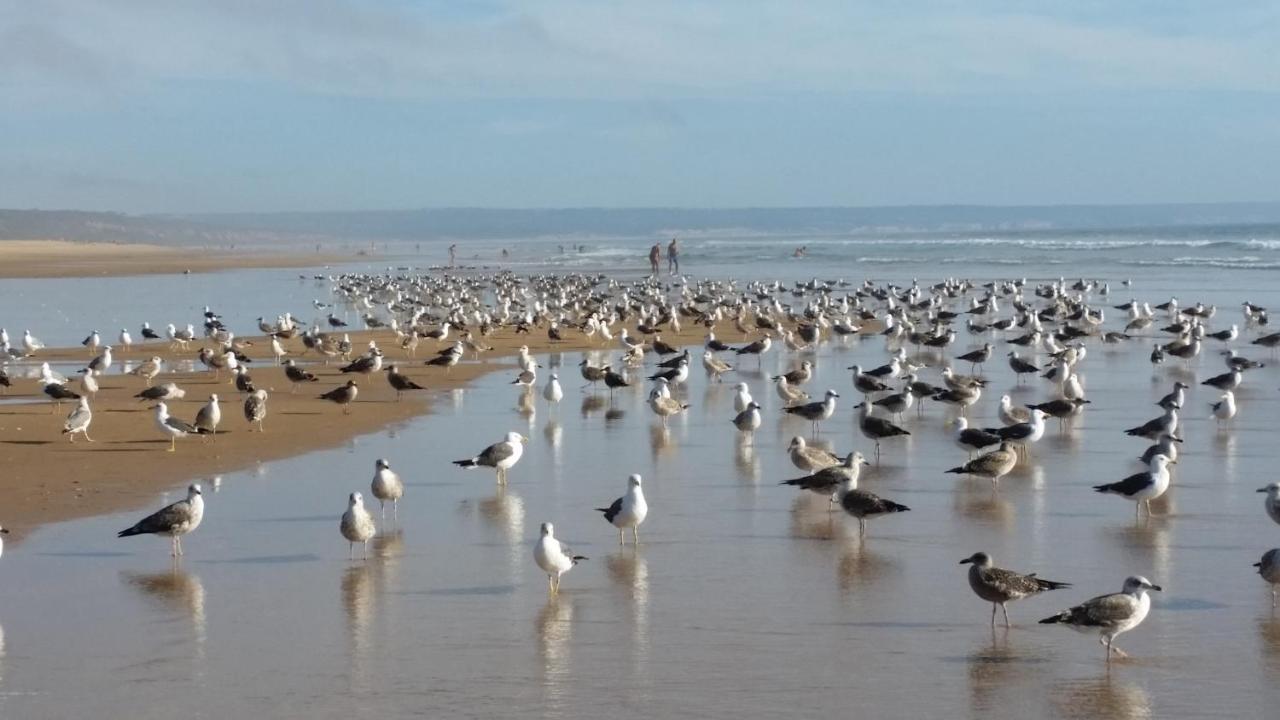 Sunset Beach Costa de Caparica Zewnętrze zdjęcie